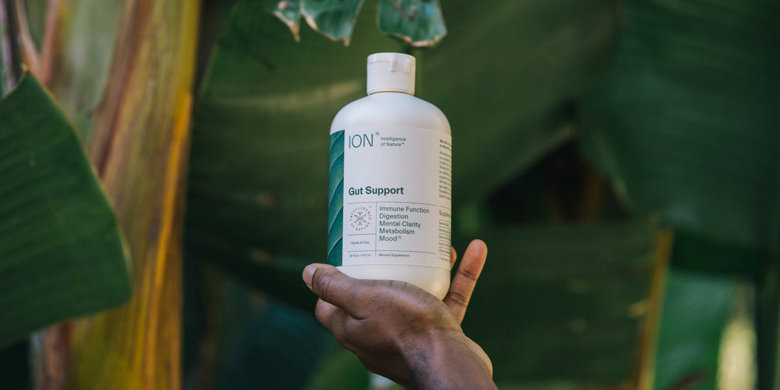 ION* Gut support to boost your immune system for flu season
