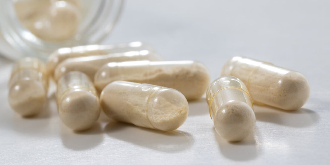 Gut microbiome and probiotics