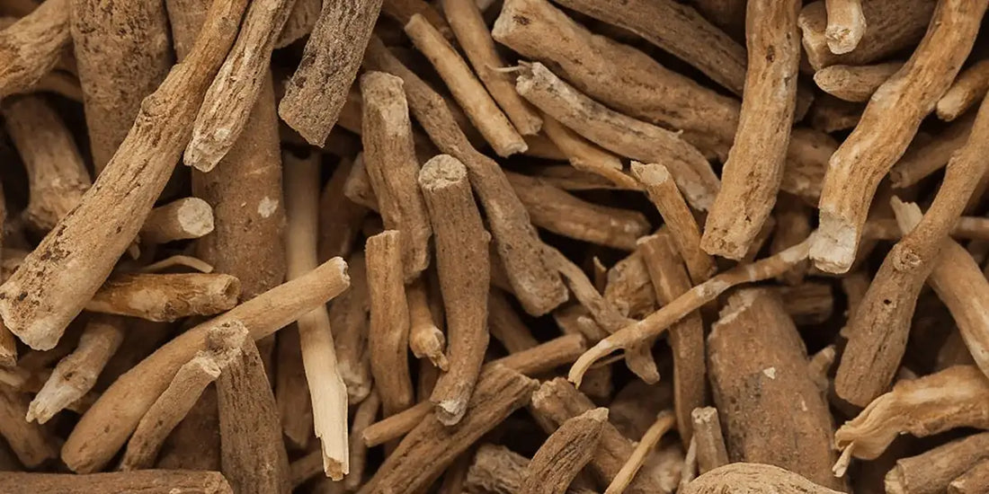 The Power of Ashwagandha: How Our New Plus Line Brings Balance and Wellness