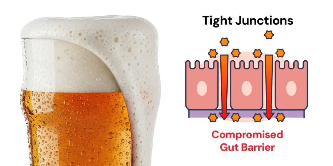 Why Your Favorite Beer Might Be Sabotaging Your Gut (And What to Do About It)