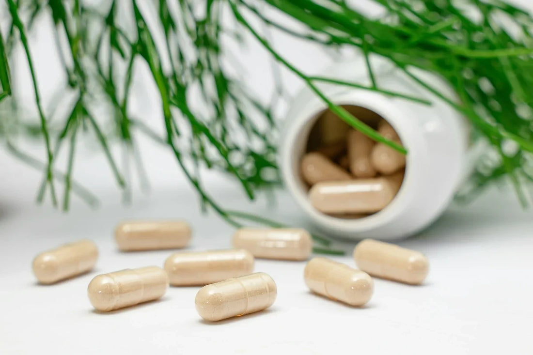 Berberine Gets the Headlines. Your Gut Deserves Attention.