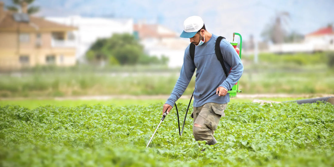 The dangers of glyphosate