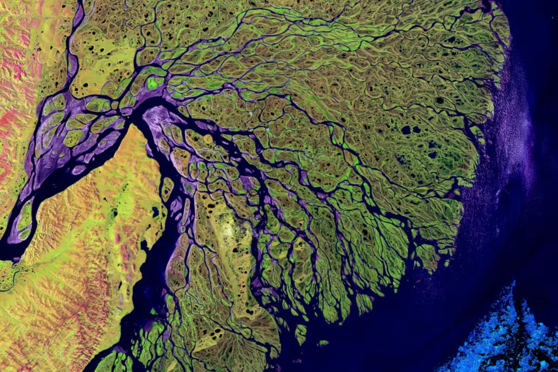 Your Microbiome Has a Geography: Why Location Matters