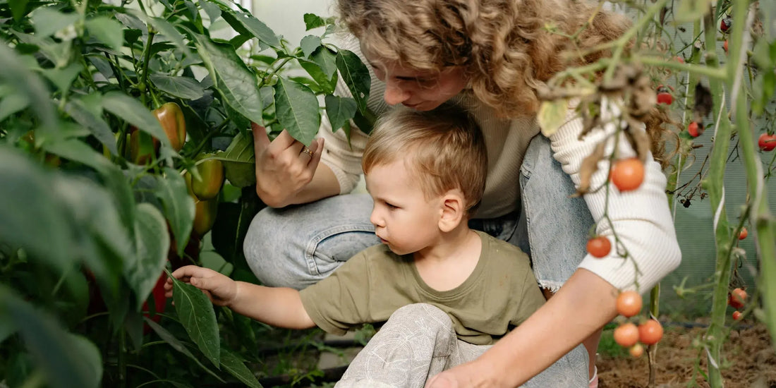 Starting your regenerative garden