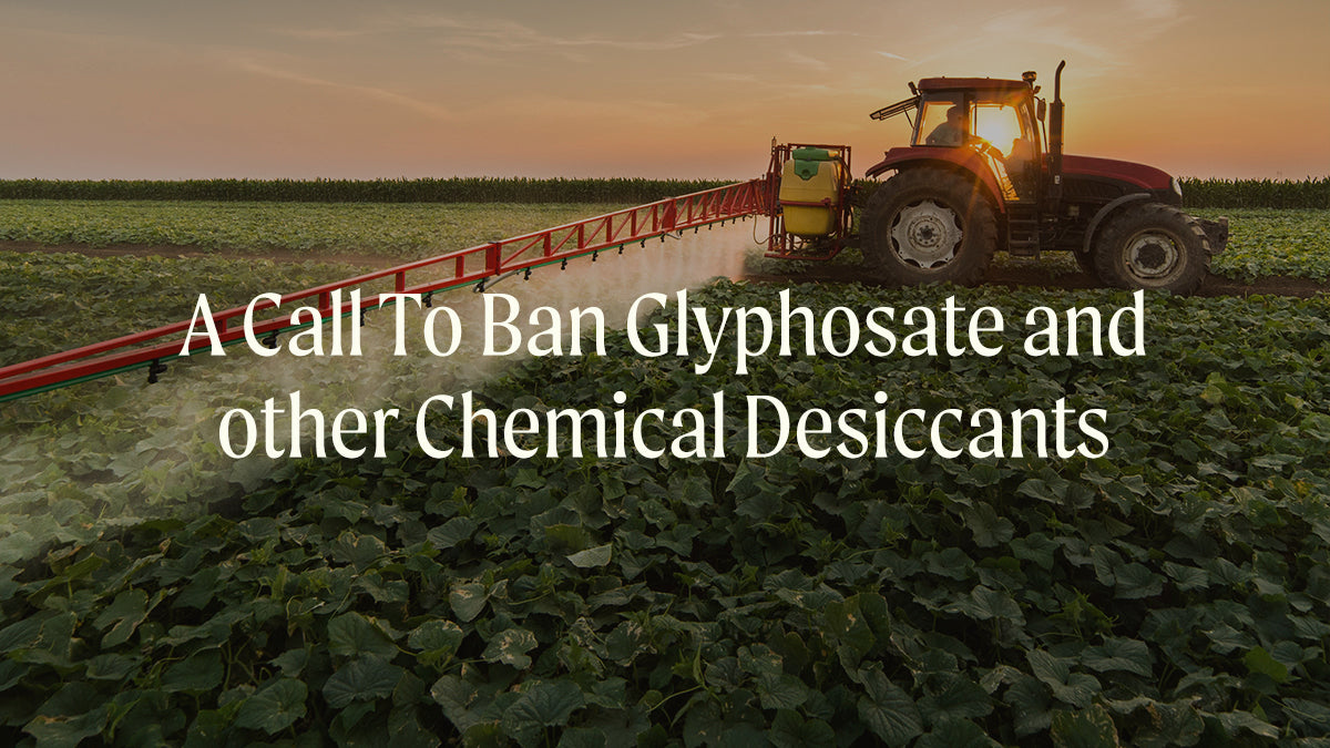 Context and Convergence: A Dialogue on Glyphosate, Human and Planetary Health