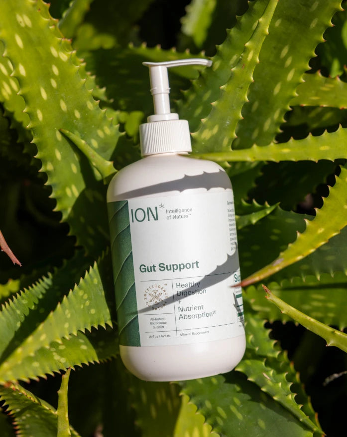 ION Gut Support Daily Gut Health Supplement