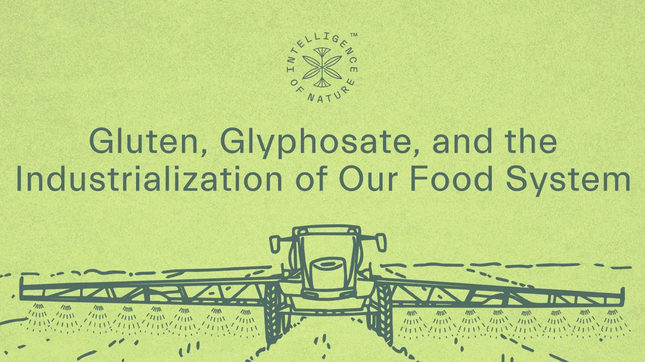 Gluten info image