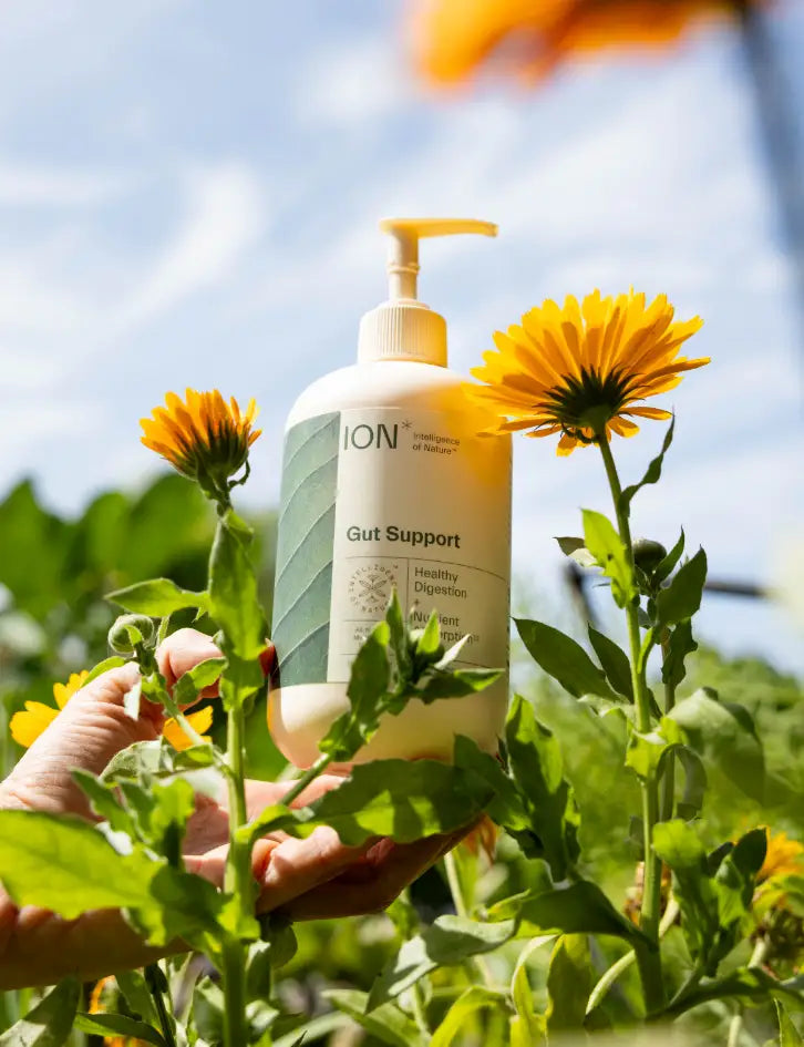 ION Gut Support image