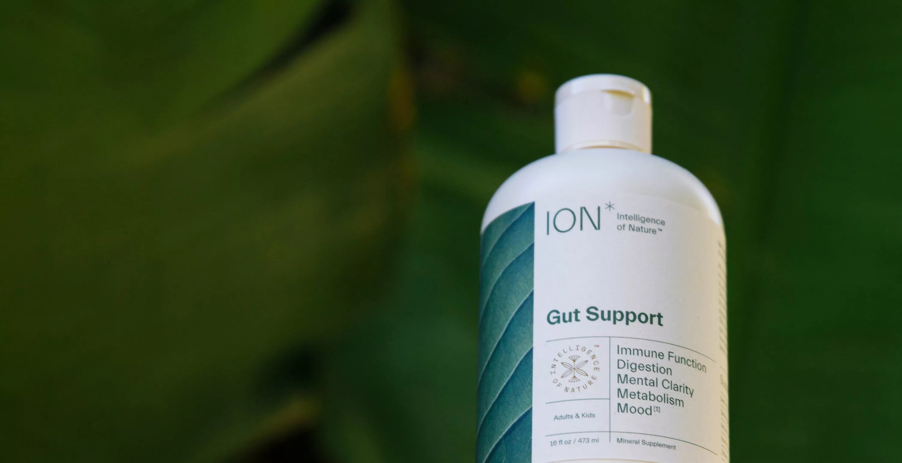 ION Gut Support Supplement Transition