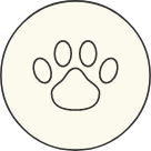 ION Paw Icon