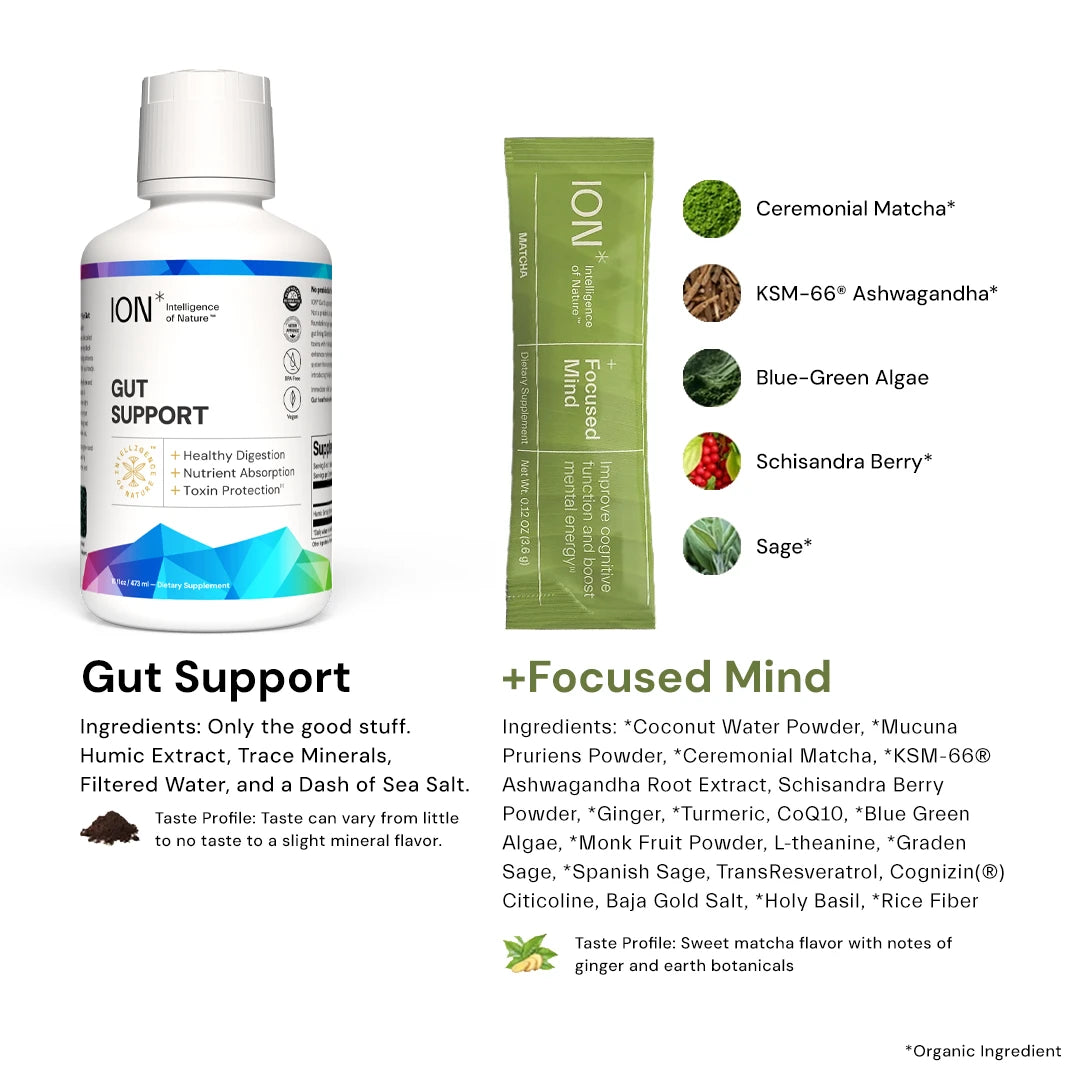 ION Gut Support + Focused Mind ingredients