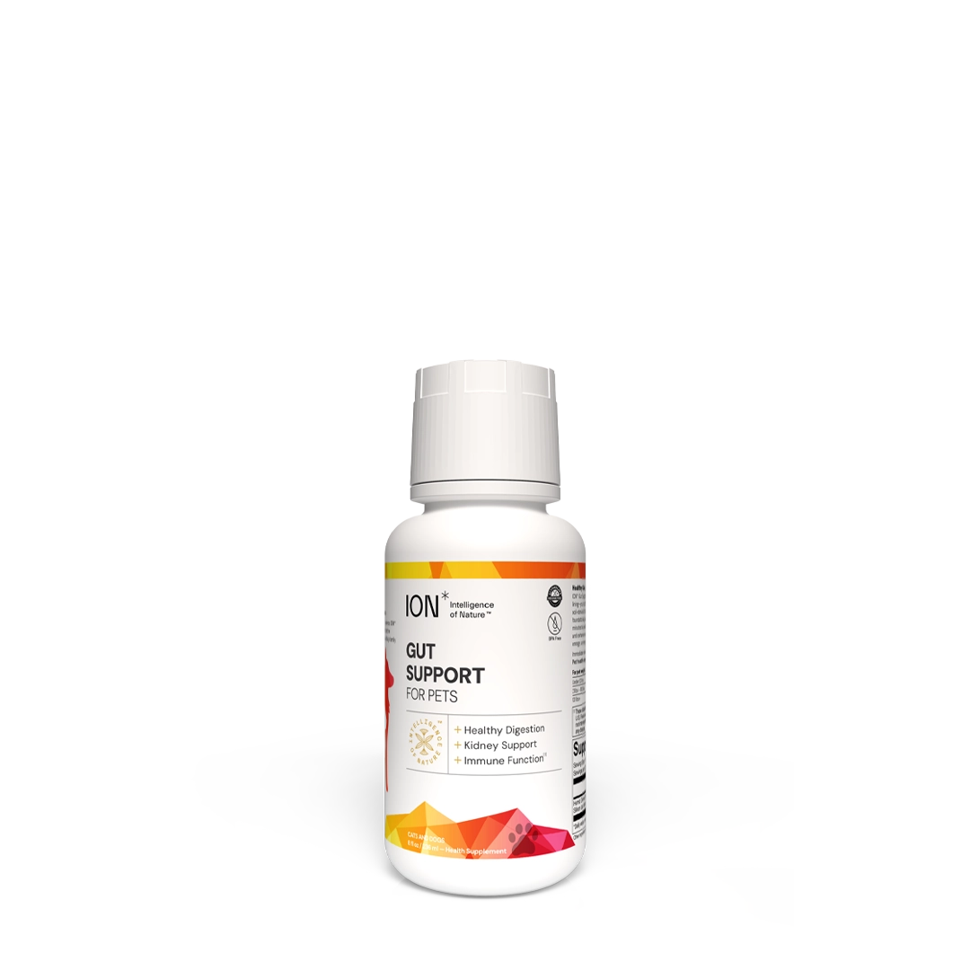 ION Gut Support for Pets 8oz bottle