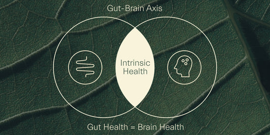 Gut health equals brain health