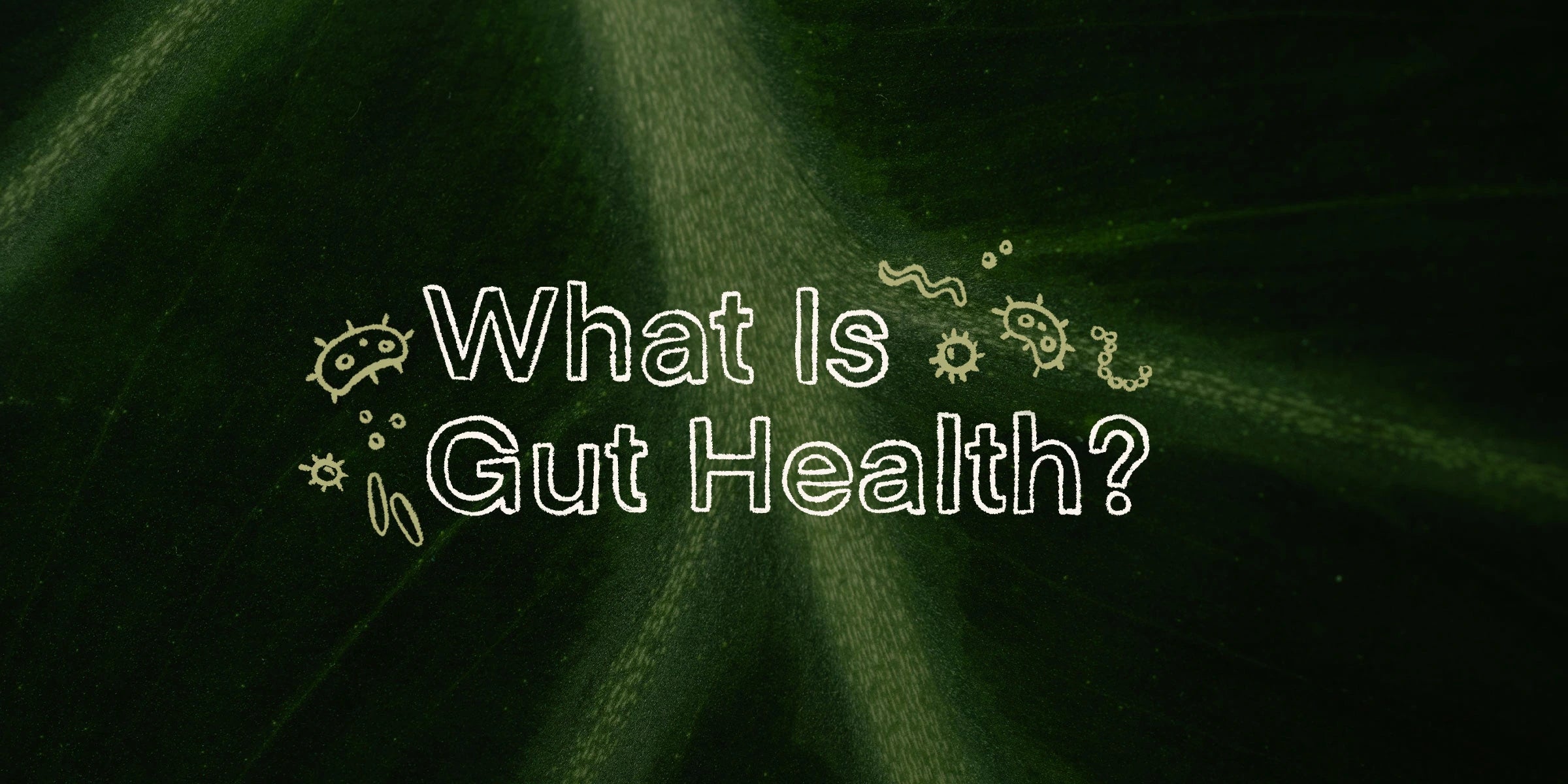 What is gut health?