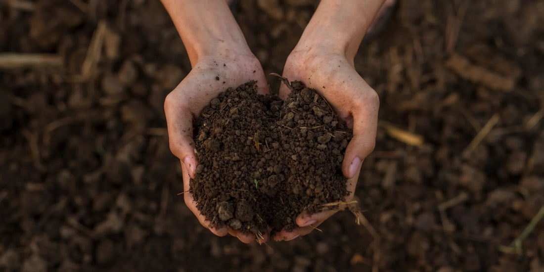 Soil