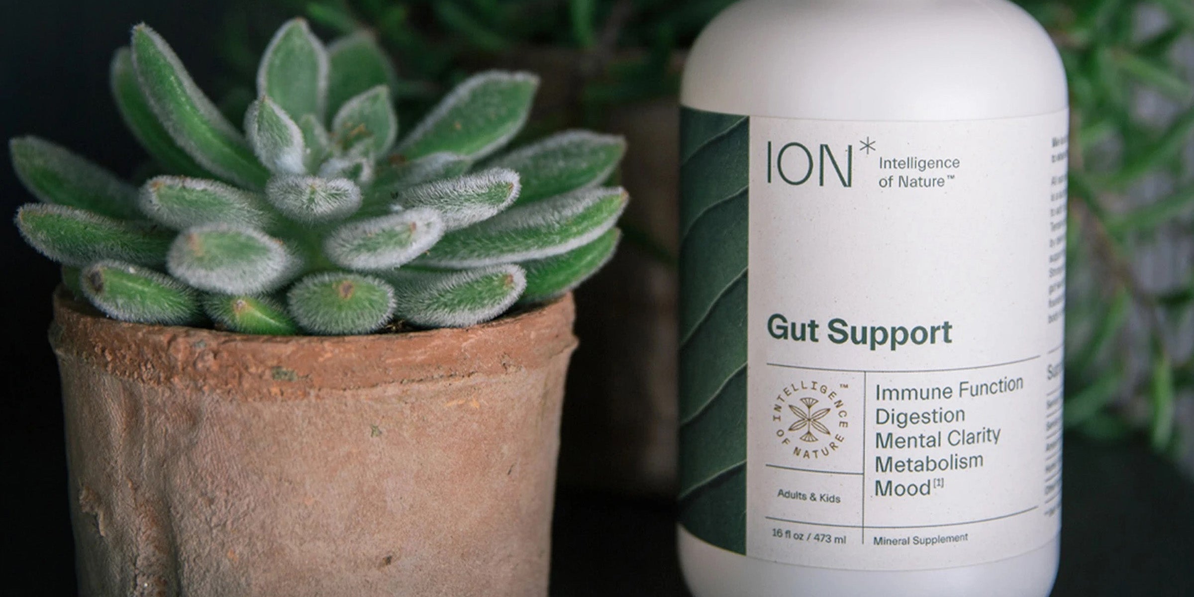 ION* Gut Support for your immune health