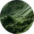 Blue-Green Algae Icon