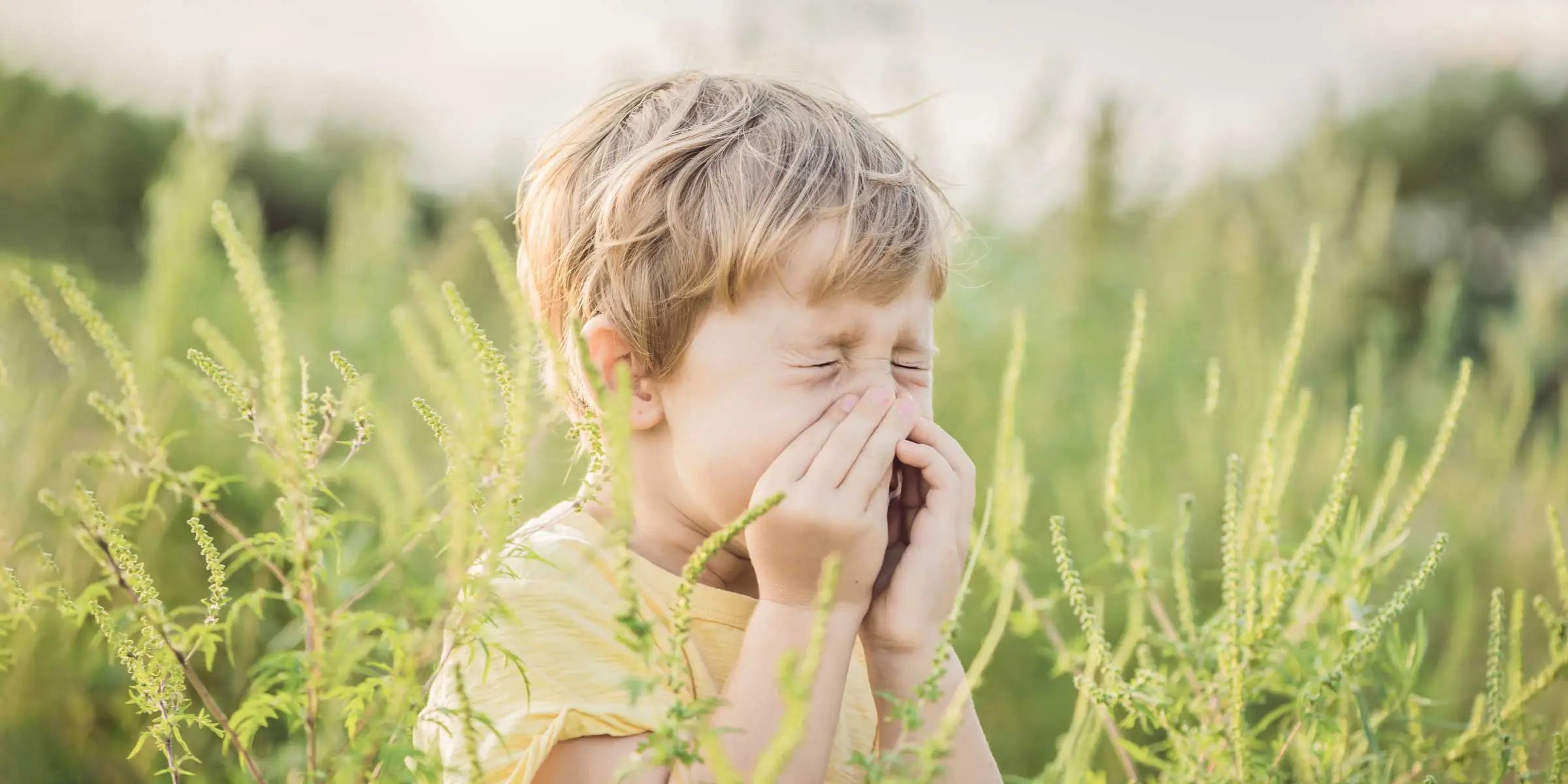 Treating Seasonal Allergies: How Gut Health Helps Symptoms | ION*