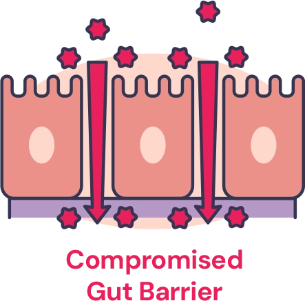 Illustration showing compromised gut