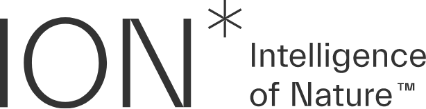 ION* Logo