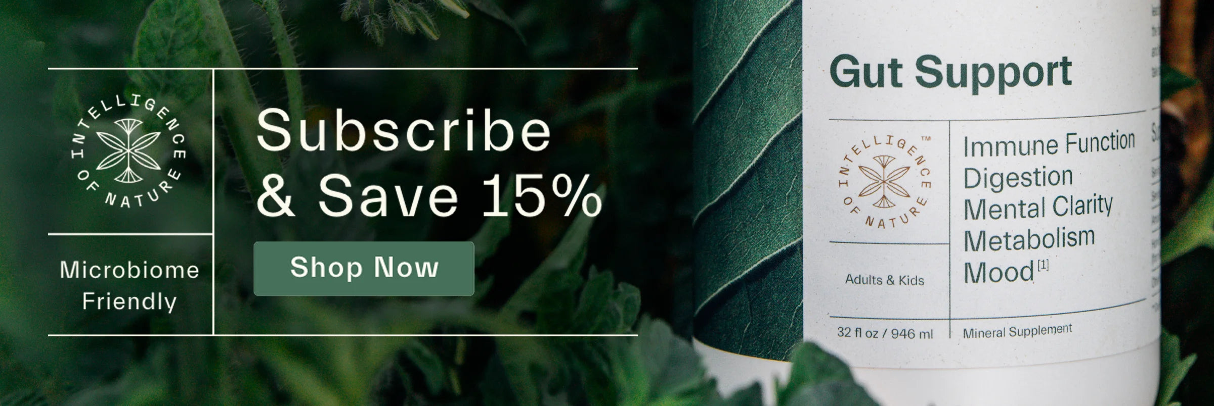 subscribe and save on ION*