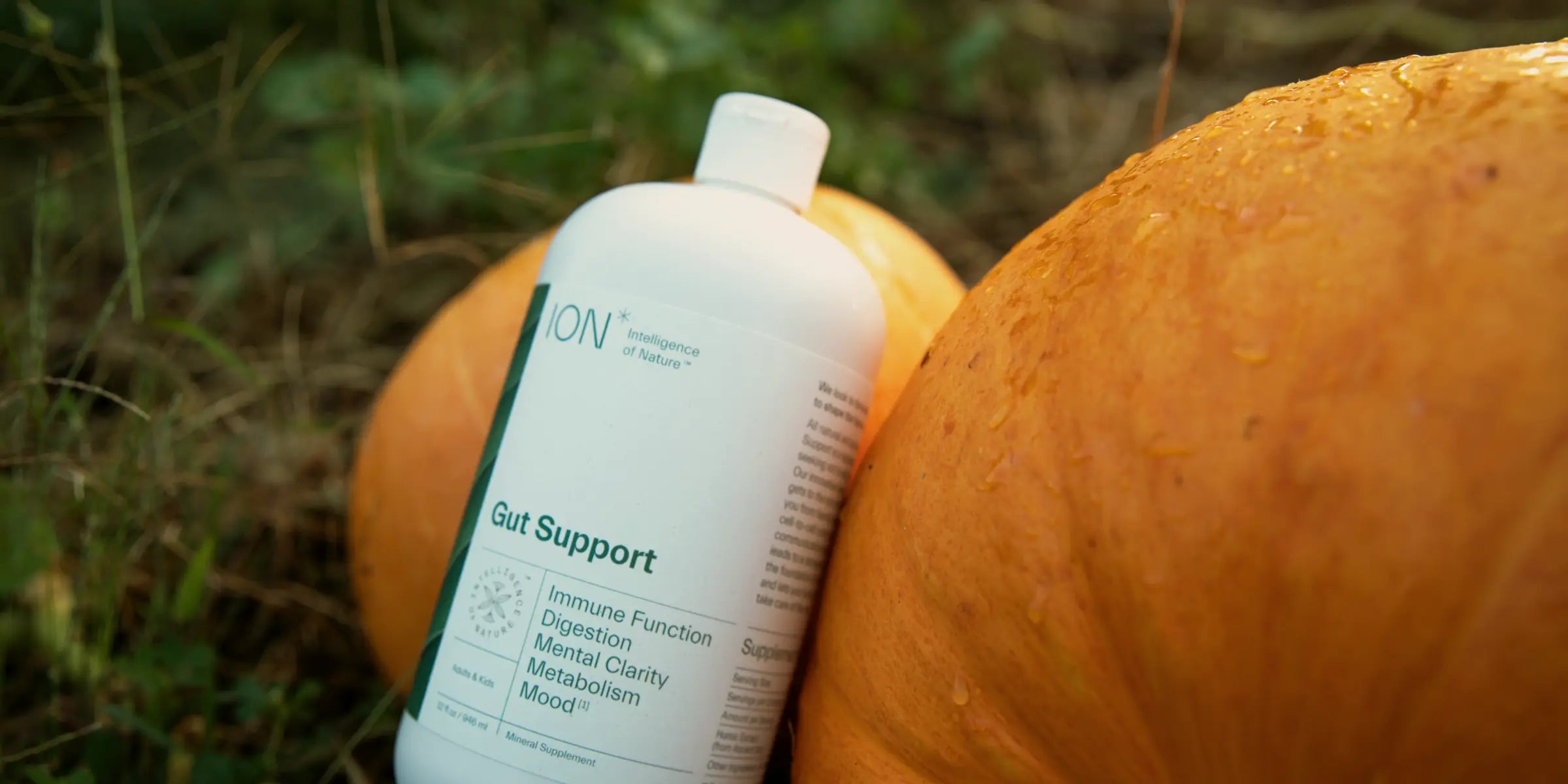 ION* Gut Support next to pumpkins