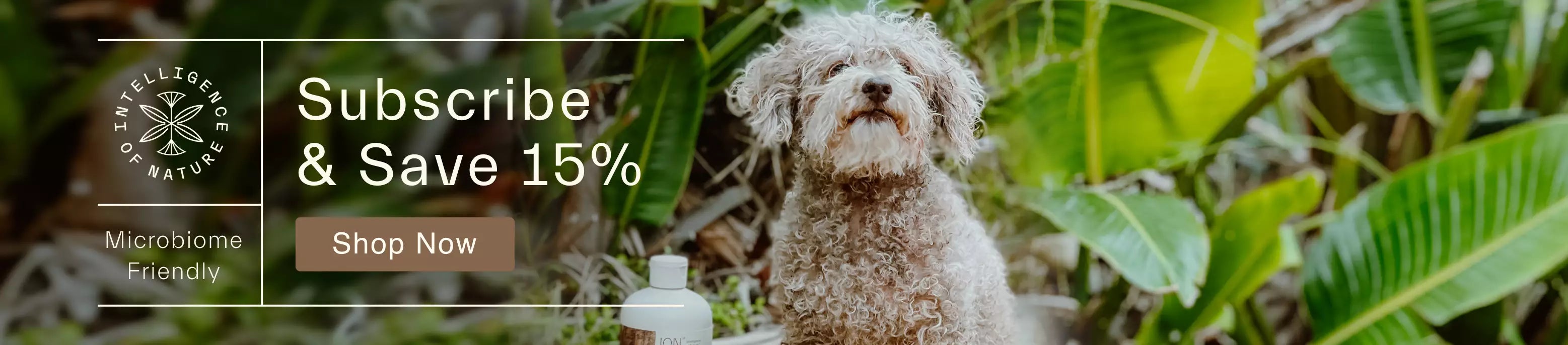 ION Gut Support for Pets