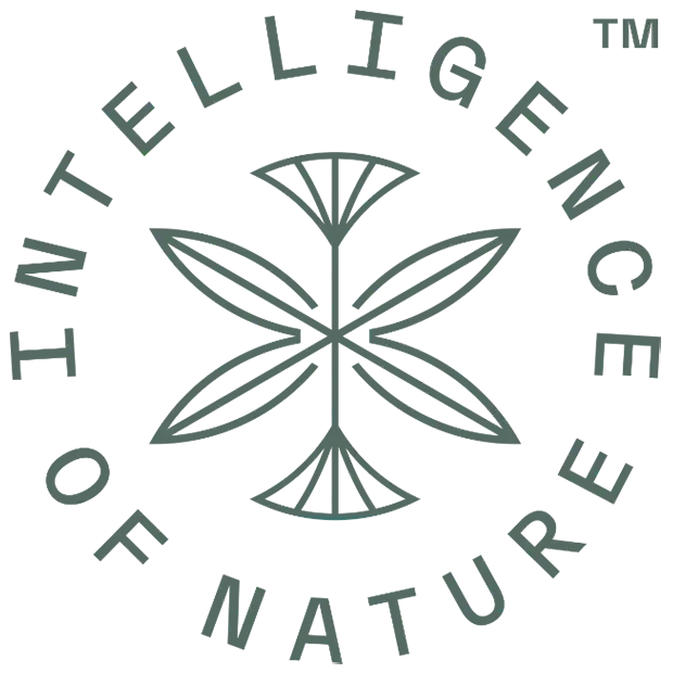 ION* Intelligence of Nature Logo