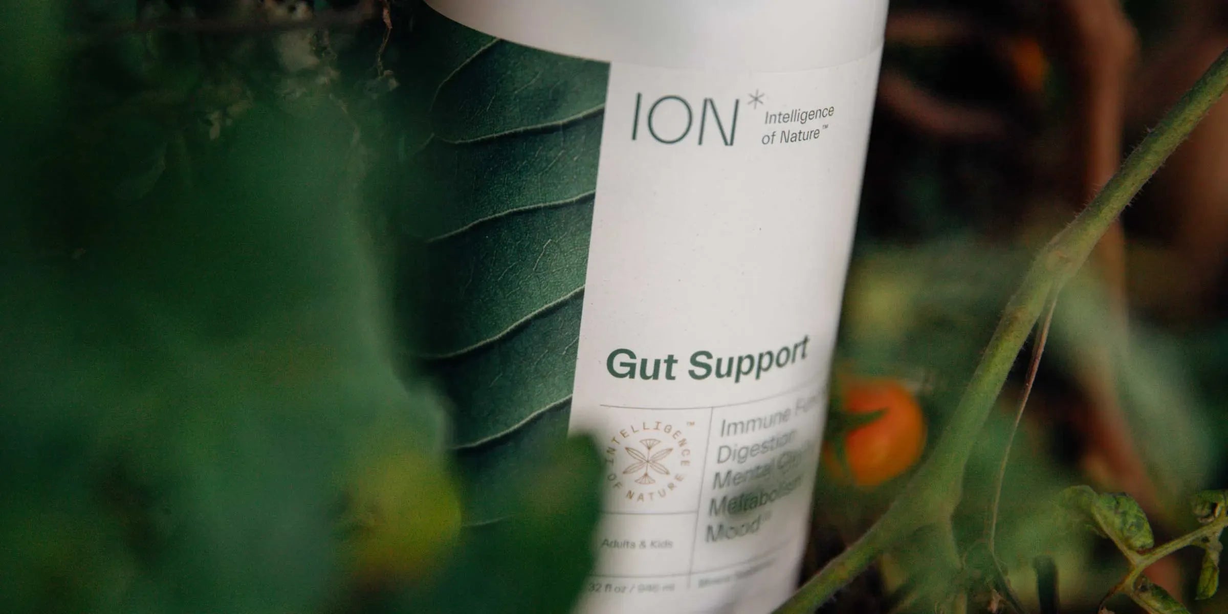 ION Gut Support Bottle