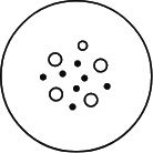 ION Gut Ingredients Icon