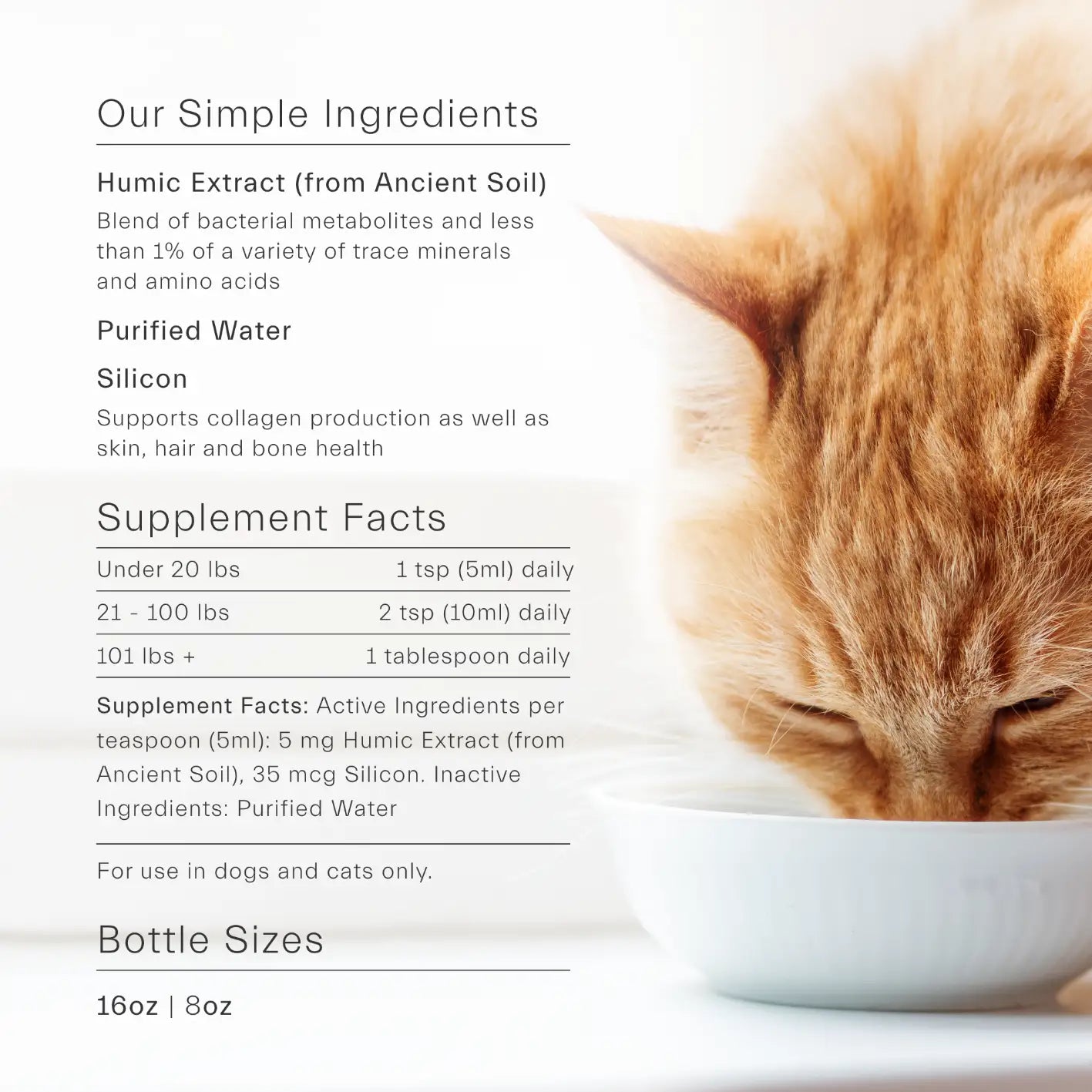 ION Gut Support For Pets Ingredients