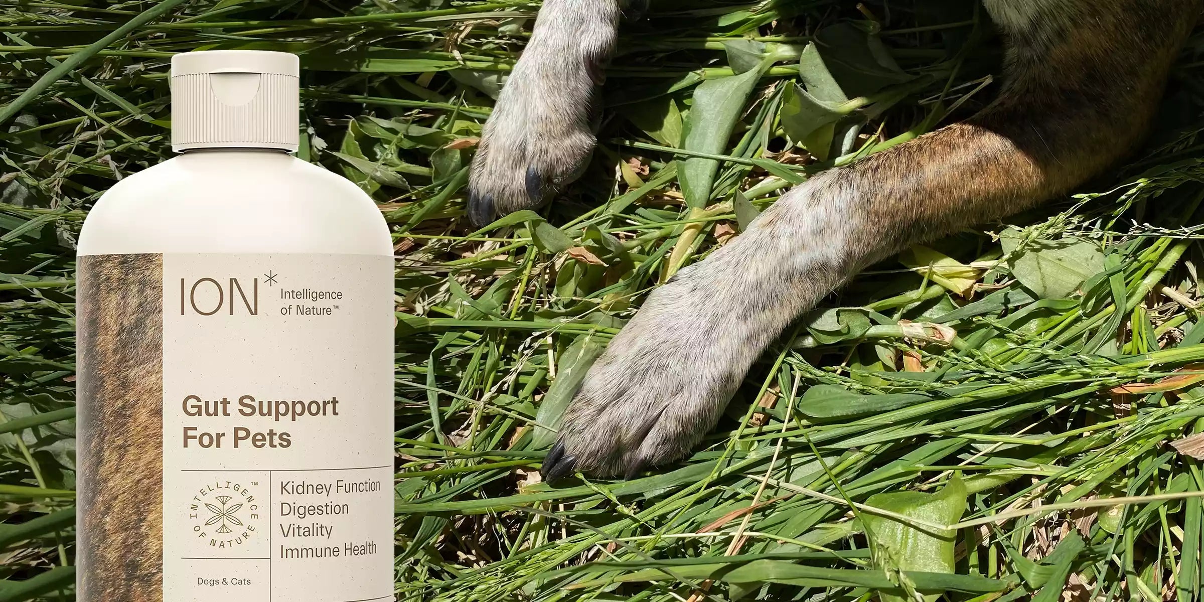 ION Gut Support for Pets