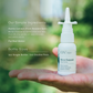 ION Sinus Support Spray Ingredients