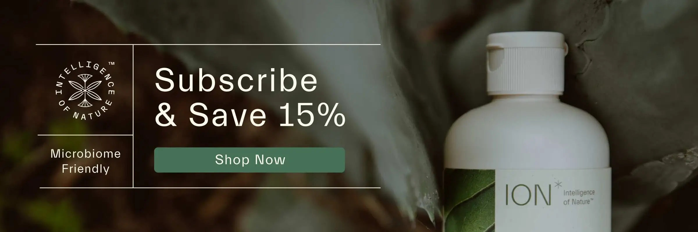 Subscribe and save 15% ION Gut Support banner