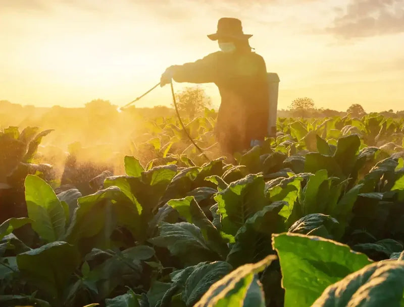 Farmer spraying glyphosate on crops