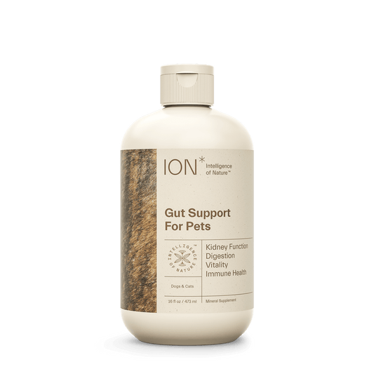 ION Pet Support Health Supplement Product Front